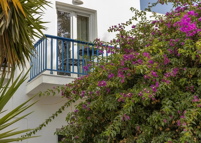 Piertzovani باروس